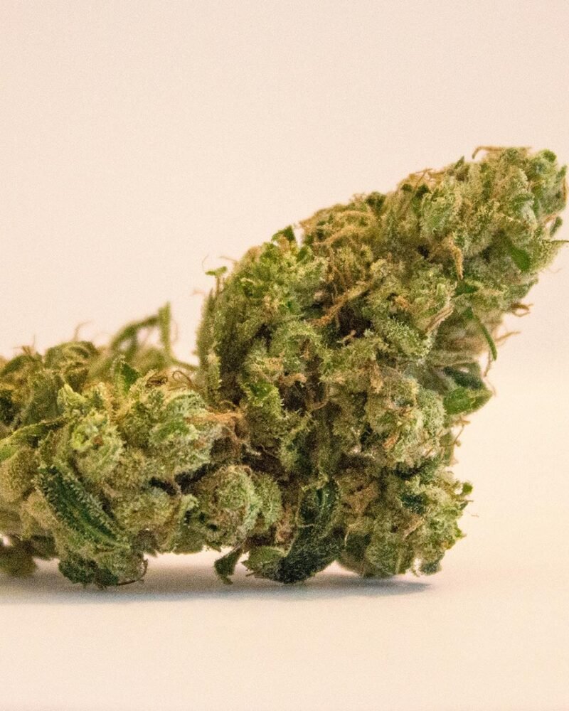 Cannabis buds