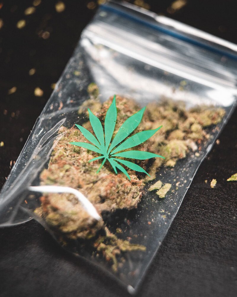 Cannabis in Zip Lock Bag