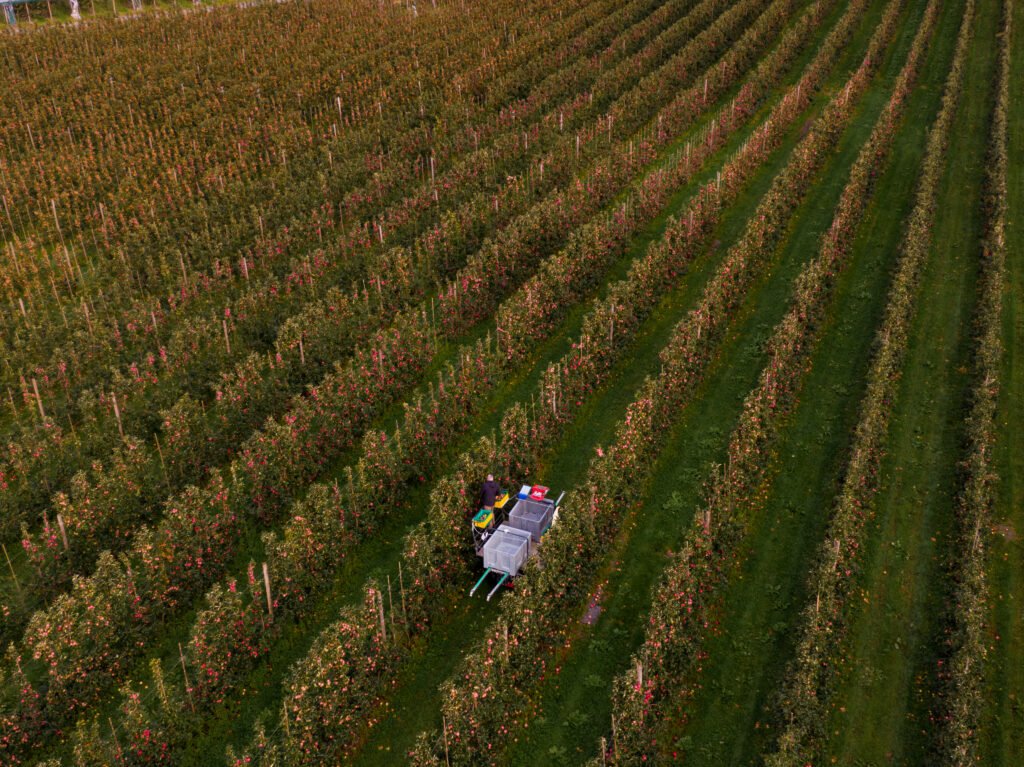 OmCider_KevinMolstad--3