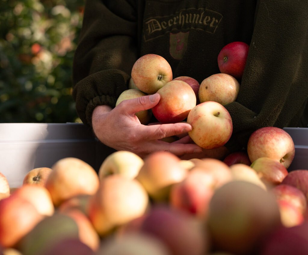 OmCider_vol2_Kevin_Molstad-2627_web