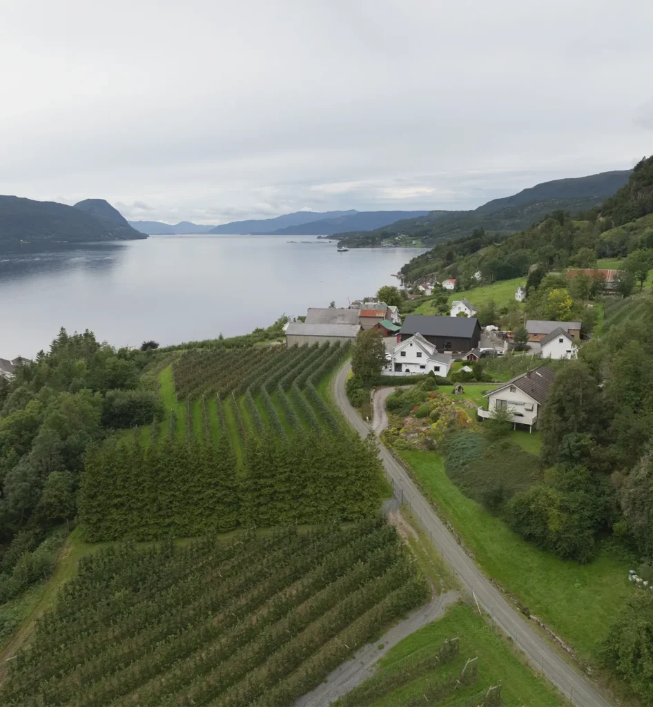 Untitled-9footer_bilde_2024-04-15-224641_nnqz